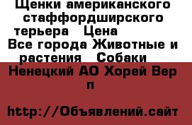 Щенки американского стаффордширского терьера › Цена ­ 20 000 - Все города Животные и растения » Собаки   . Ненецкий АО,Хорей-Вер п.